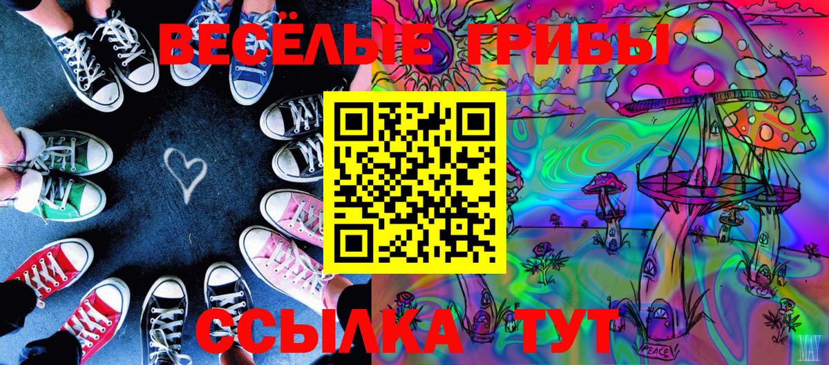 Псилоцибиновые грибы прущие грибы Березники